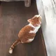 Billy profile