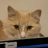 Vale profile
