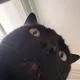 Bea profile