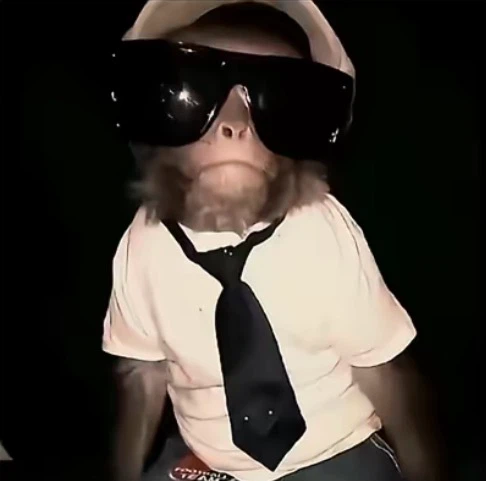 Goofymonkey profile
