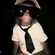 Goofymonkey profile