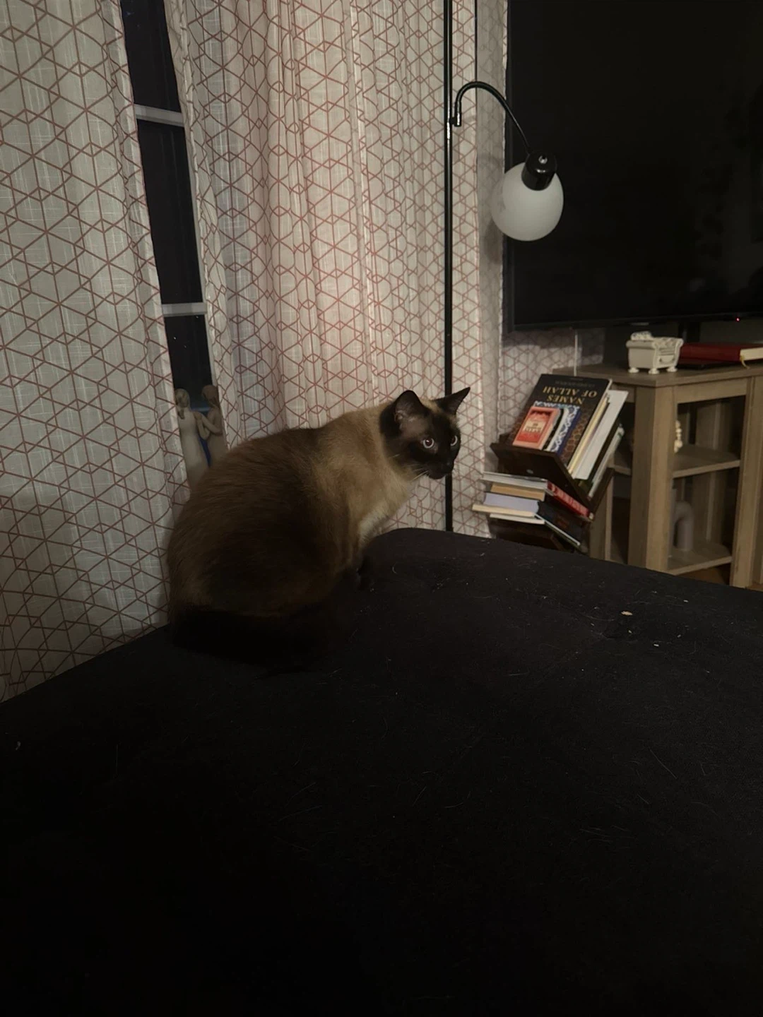 Nik profile
