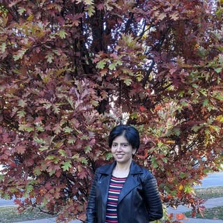 Mita Shenai profile