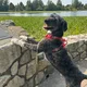 Kyla profile