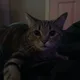 Laila profile