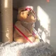 Emjay profile