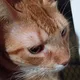 Ethan profile