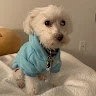 Patty F profile