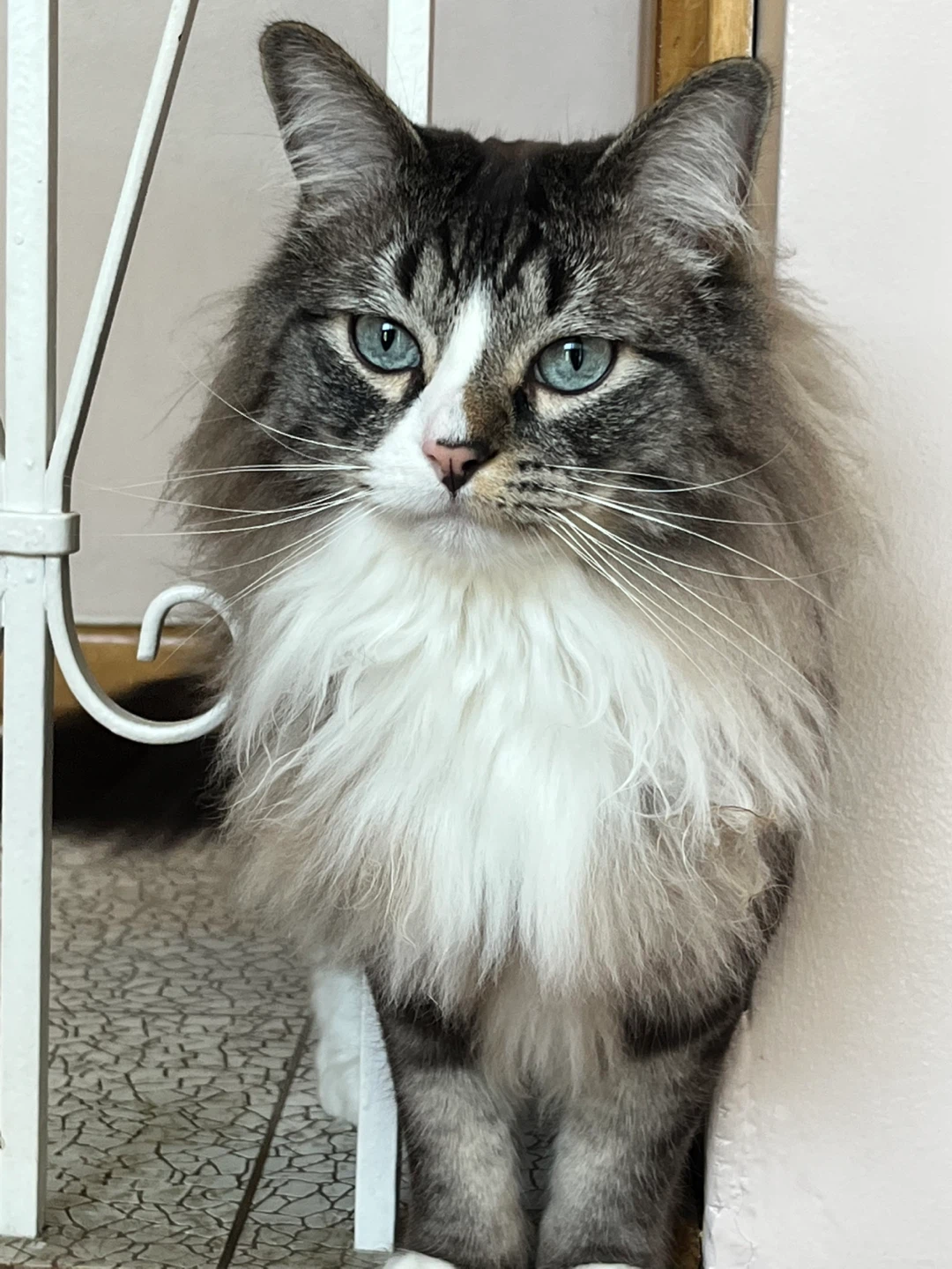 Martin profile