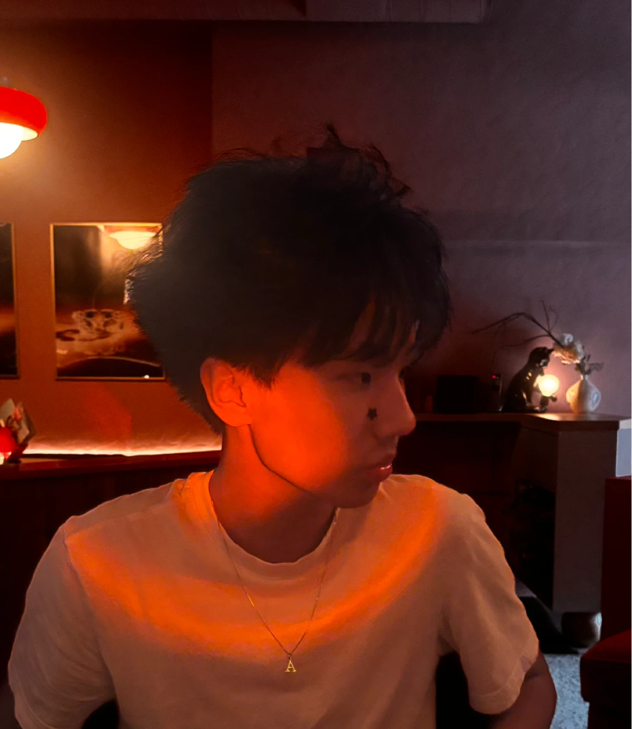 steven profile
