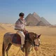 Tarek alrayabi profile
