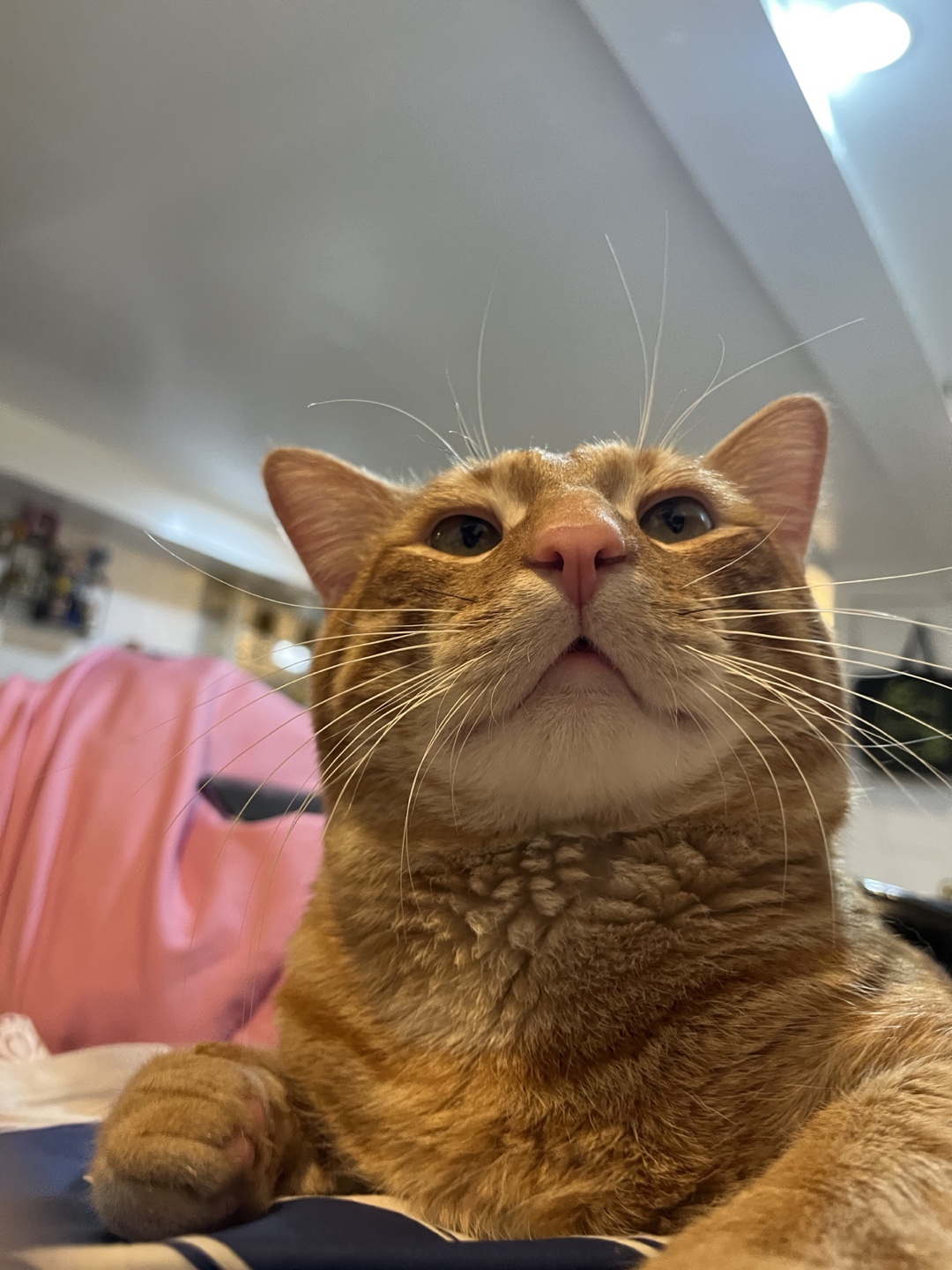Jeff profile