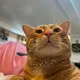 Jeff profile