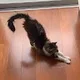Teo Tavera profile