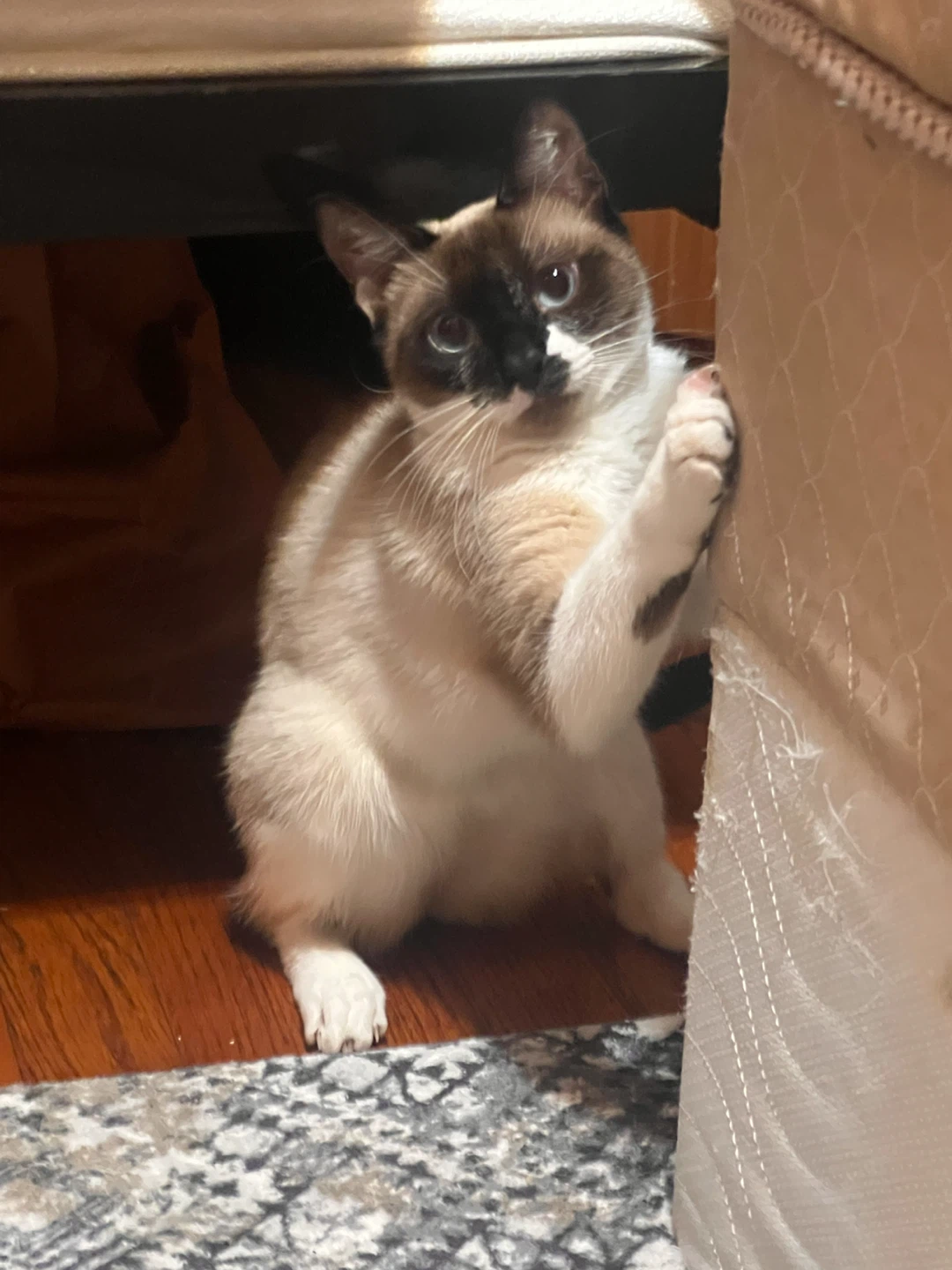 Lalalala profile