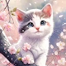 maryam profile