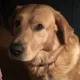 Anita profile
