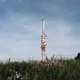 Dan profile