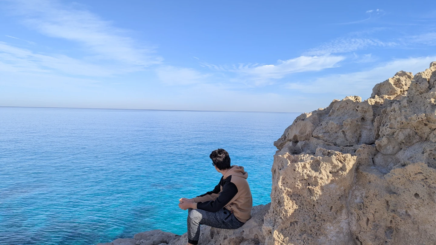 Adam Almarini profile