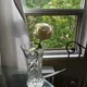 Meet profile
