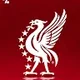 Romaan Zaidi profile