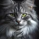 sina profile