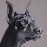 Rocco profile