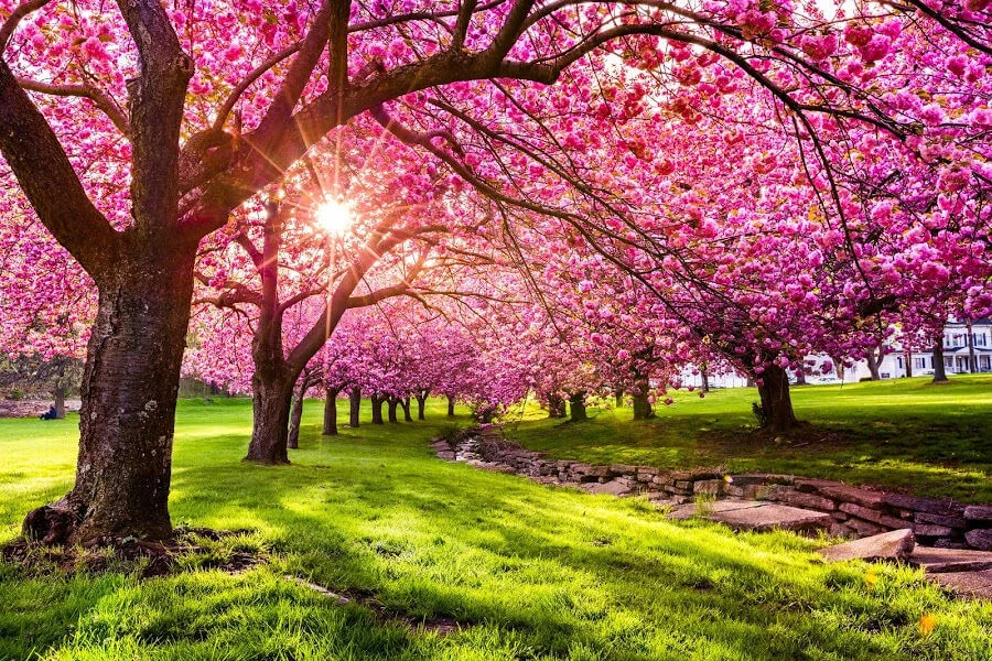 Spring time profile