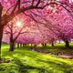Spring time profile