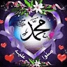 Mohmad Alzokani profile