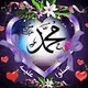 Mohmad Alzokani profile