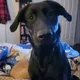 Alan profile