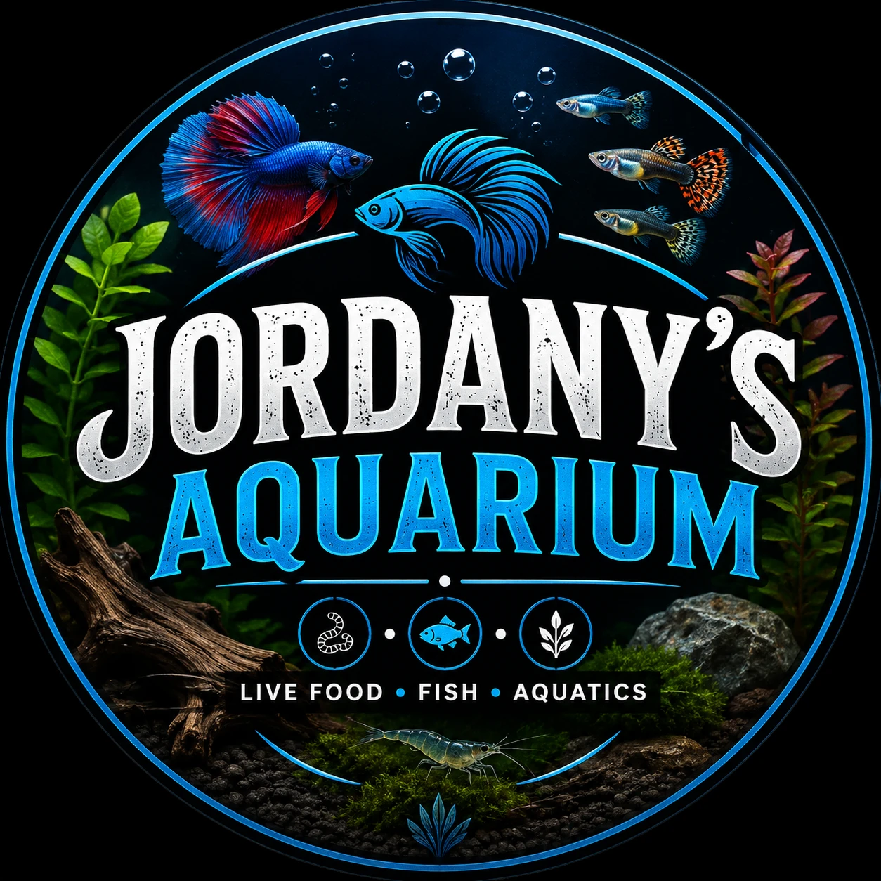 jordany profile