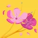 SCORLEY ROSA profile