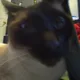 damian profile