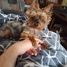 Jackson Lando profile