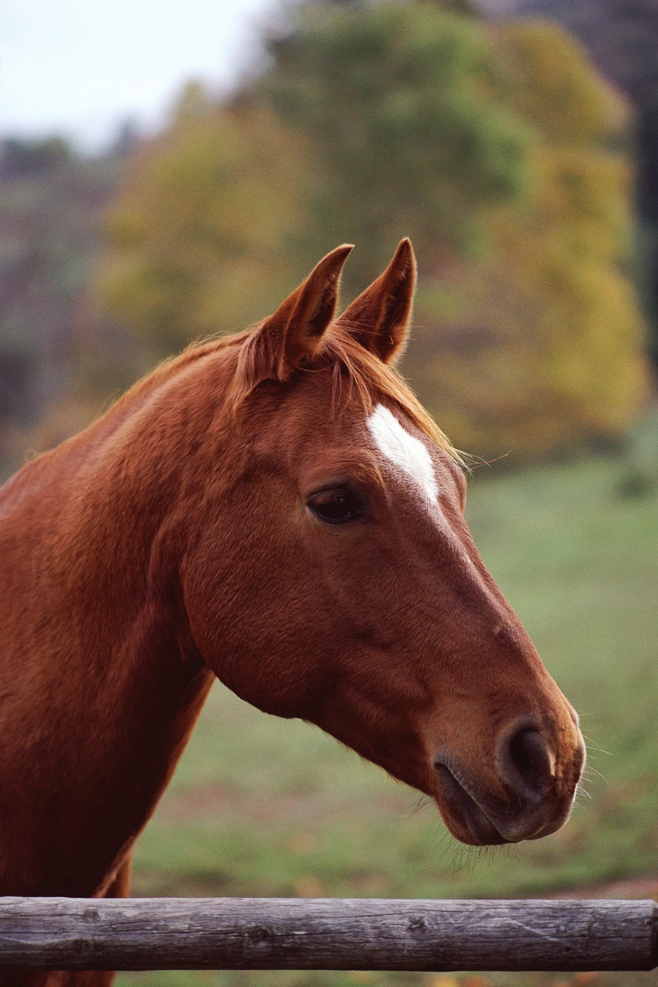 TWH profile