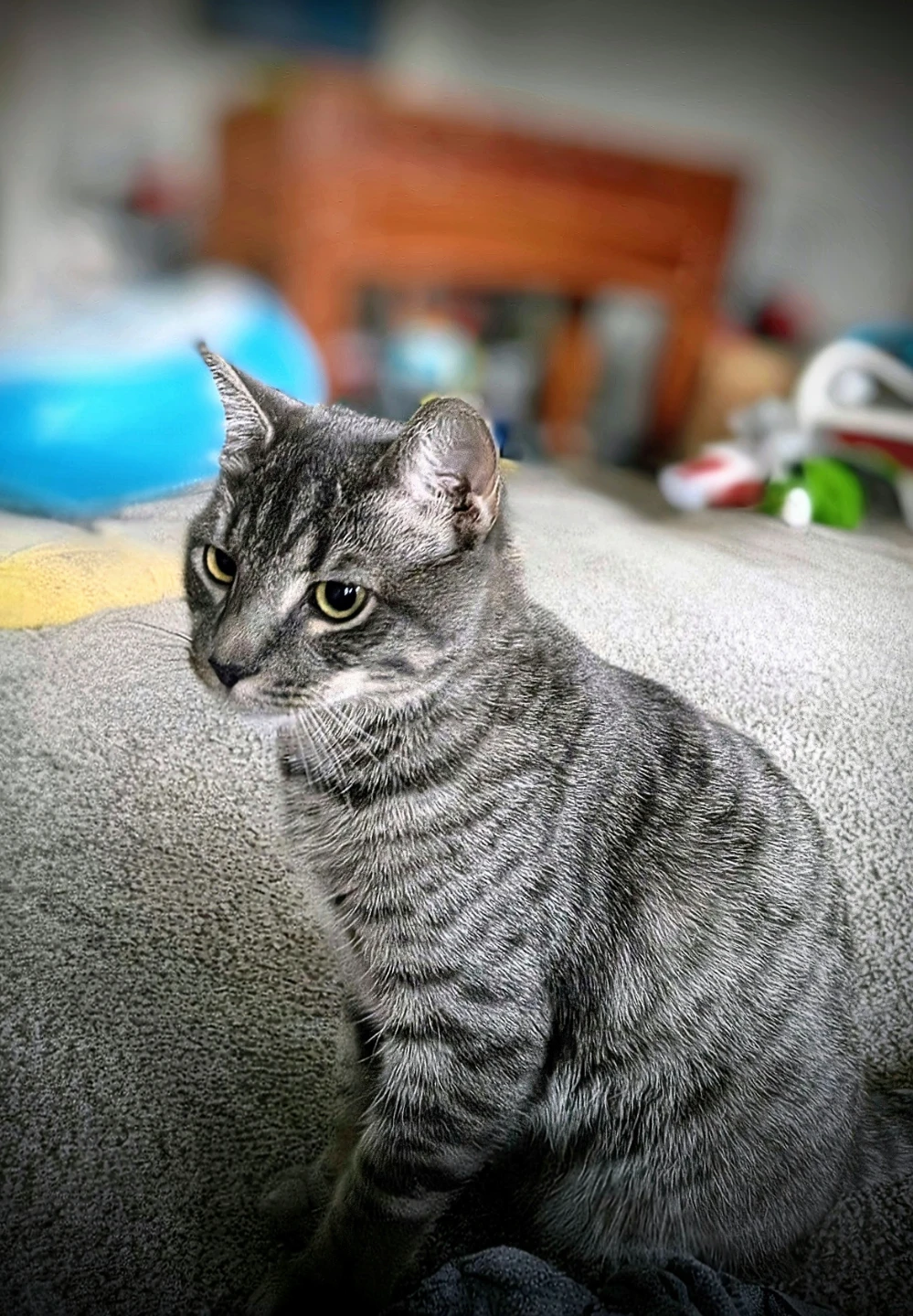 wyatt profile