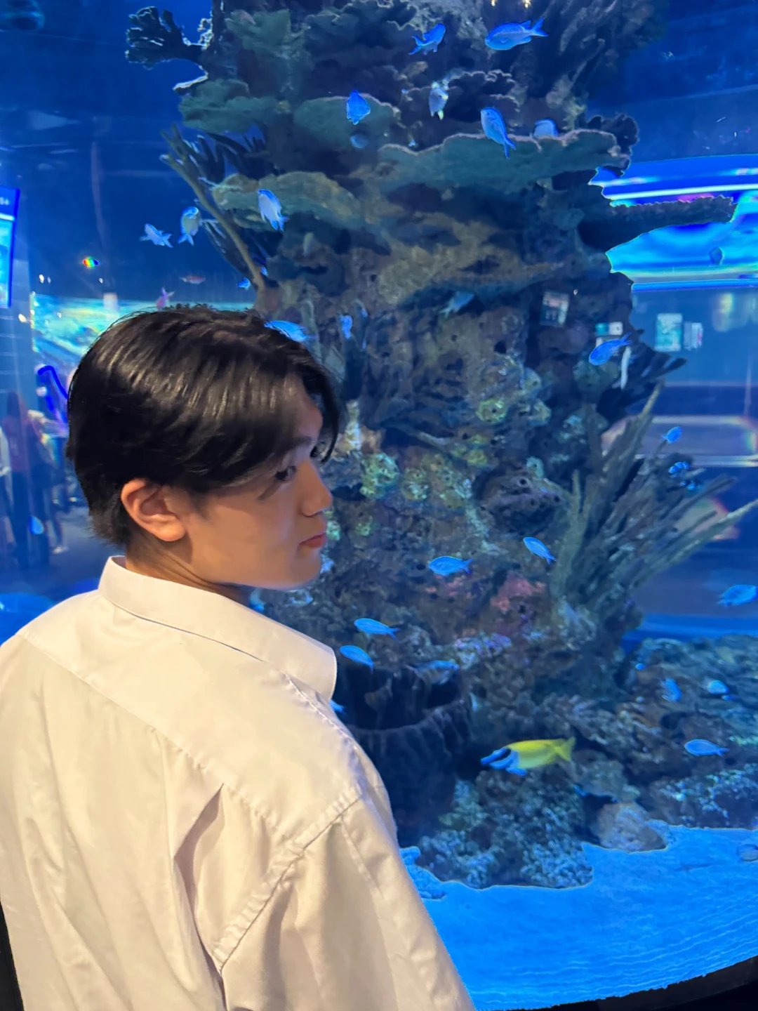 Tyler Kim profile