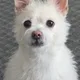 Kiki profile
