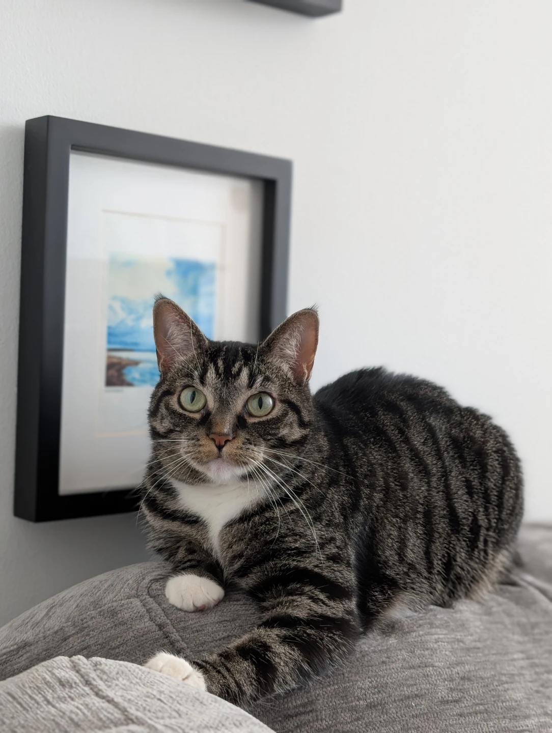 Lily profile