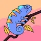 Jeyme profile