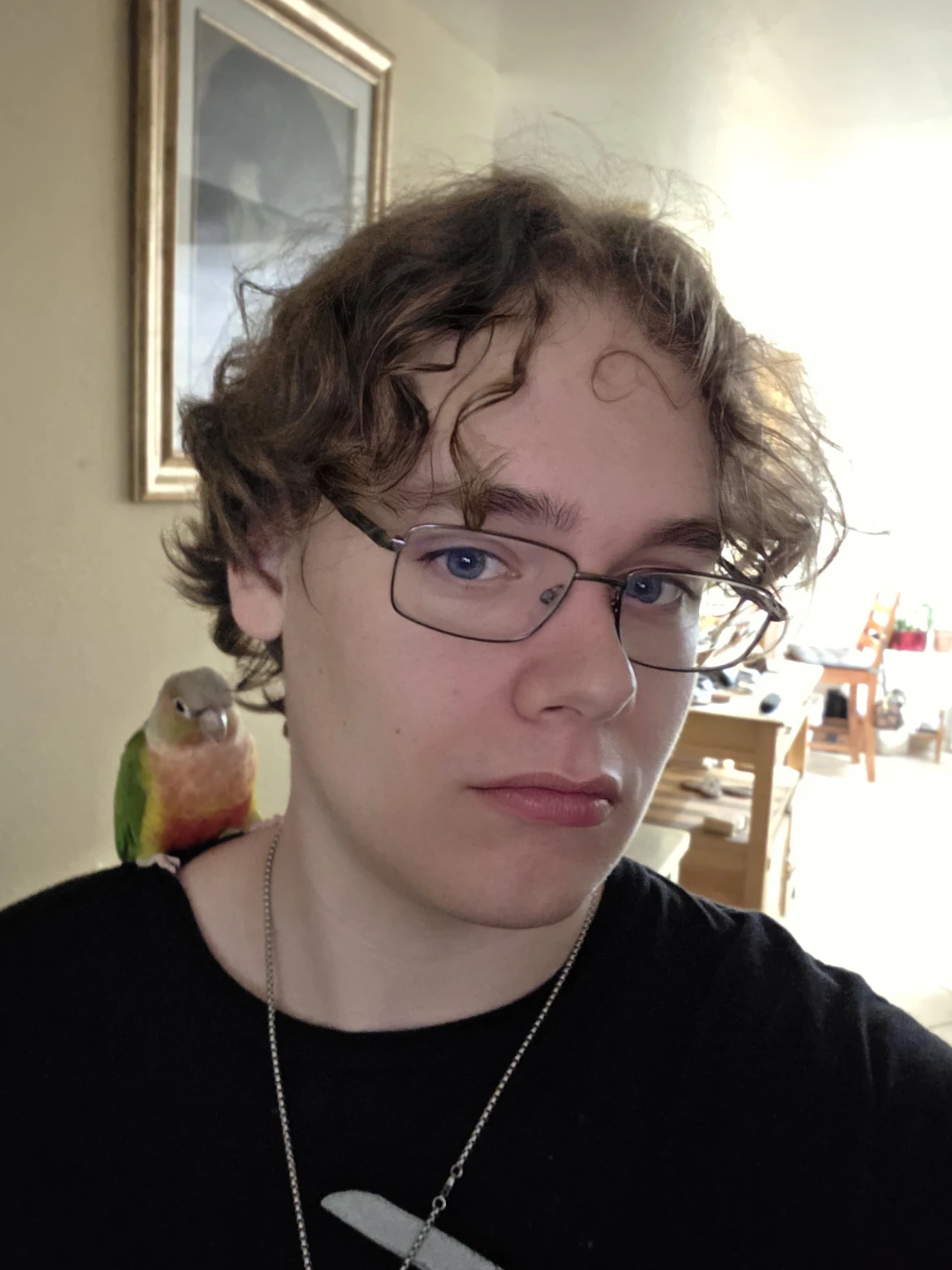 Brandon Light profile