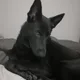 Kim profile