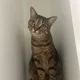 Nani profile