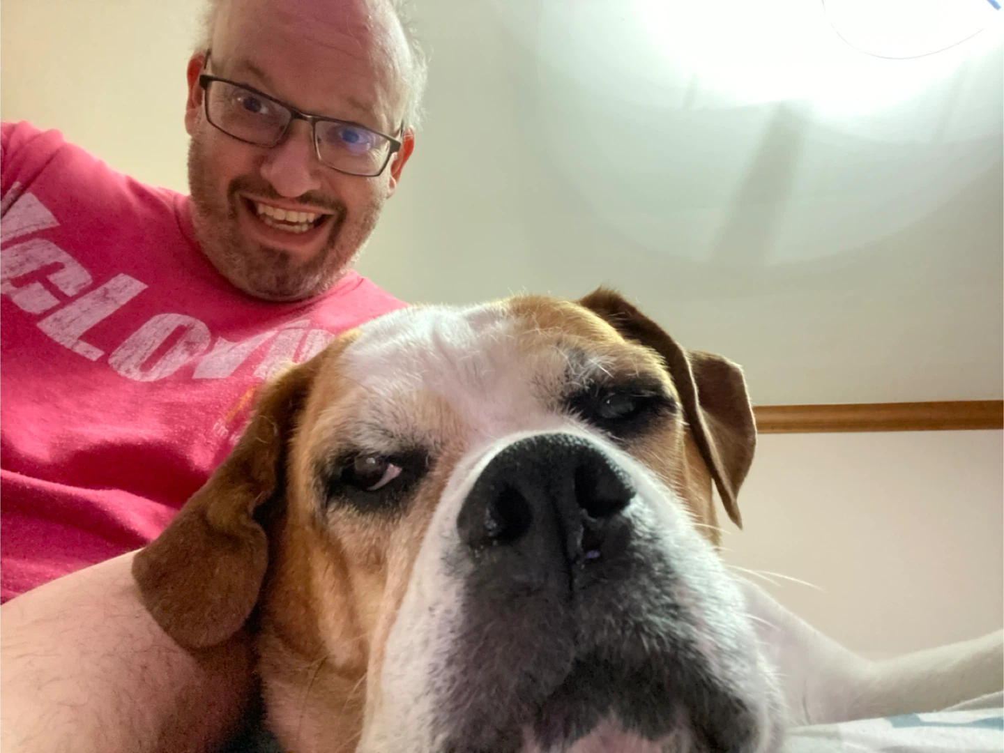 Dave profile