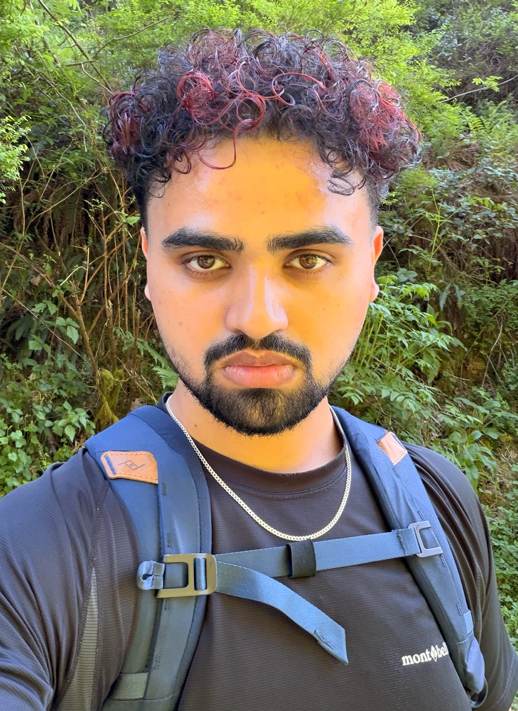 Harbhajan profile
