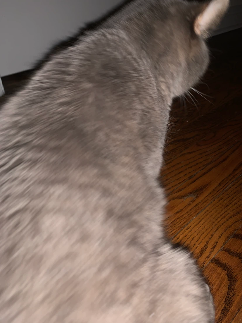 Gary profile