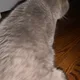 Gary profile