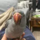 ARJAN profile